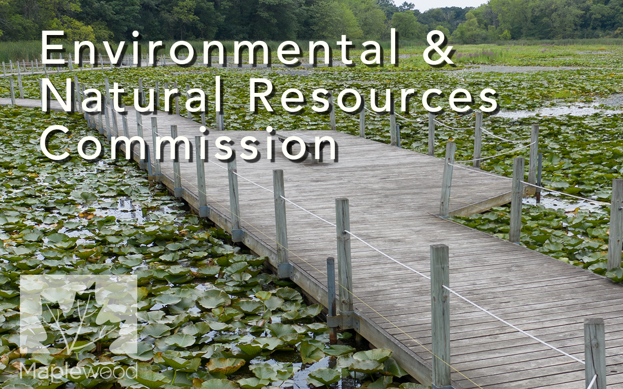 Thumbnail image for Environmental & Natural Resources Commission - November 12, 2025