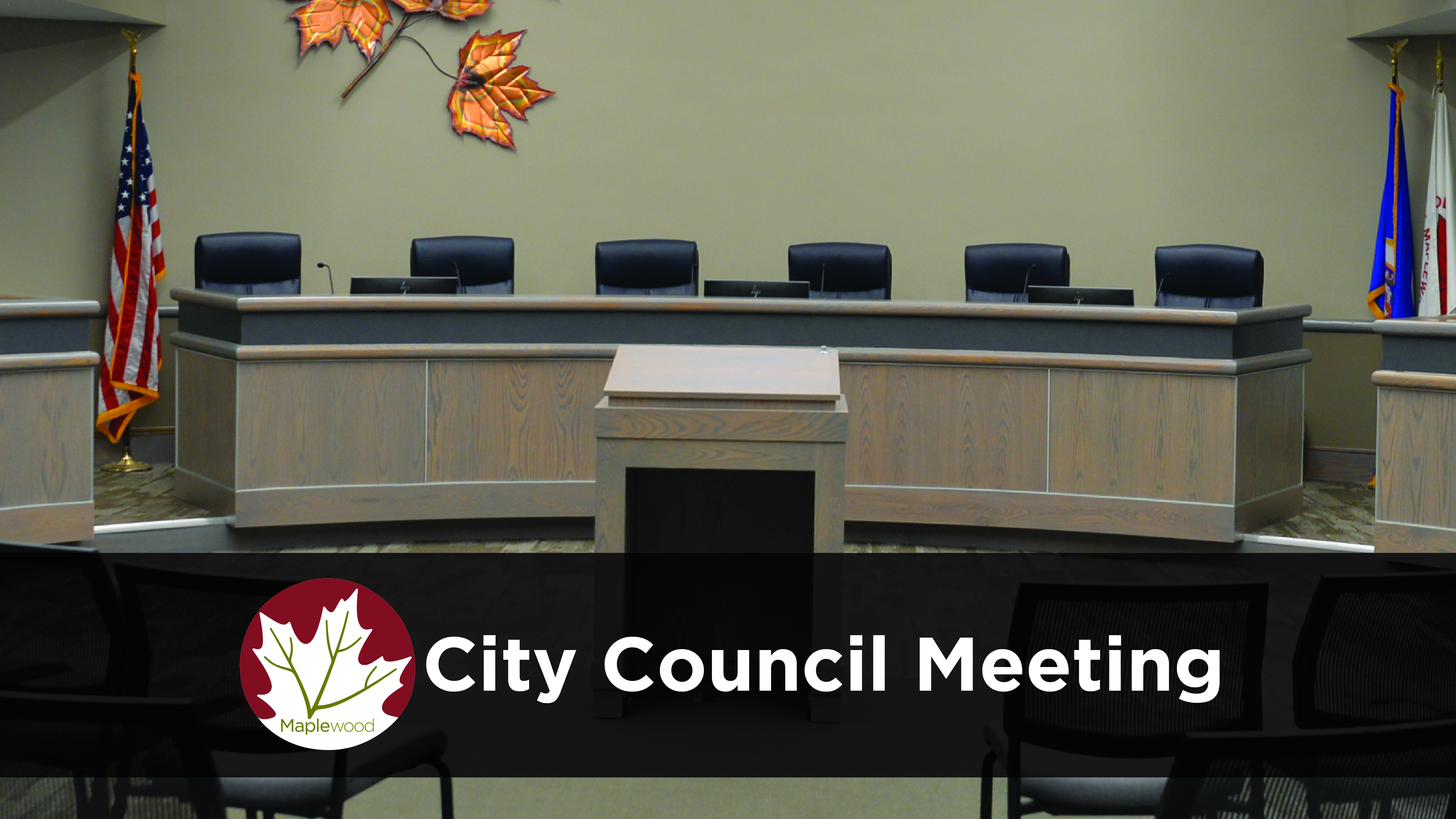 Thumbnail image for City Council Meeting - May 11, 2026