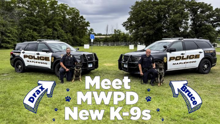 Thumbnail image for Meet MWPD K-9s Bruce and Drax 2026